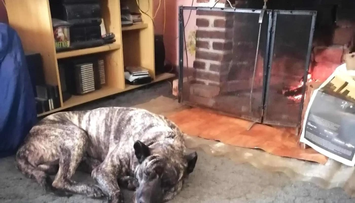 Cassino Papeleria -  Catalogo - Montevideo