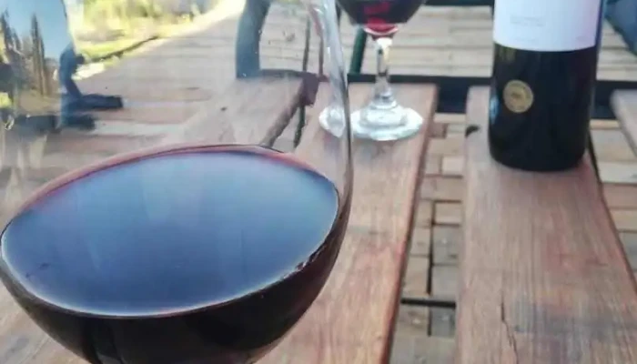 Castana Comida Y Bebida - Sarandí Grande