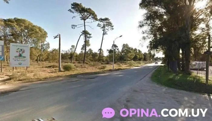 Caterina Bordoli Negocios Inmobiliarios y Rurales - Ciudad De La Costa