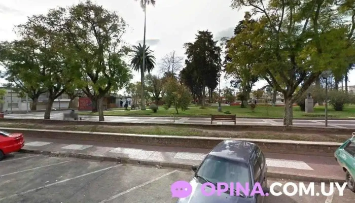 Catlandia - 37000 Melo