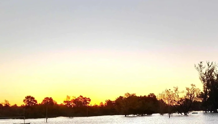 Cavani Sucursal Rambla -  Comentario 1 - Mercedes