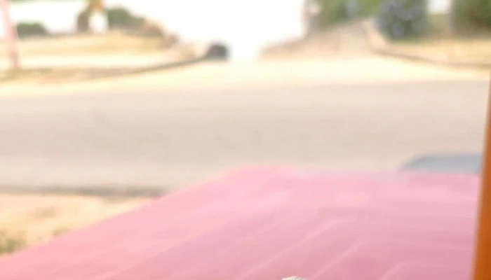 Cayetano -  Comentario 6 - Parque del Plata