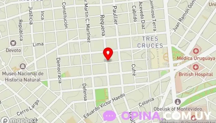 mapa de C&B INSTITUTE Academia de idiomas, Escuela en Montevideo