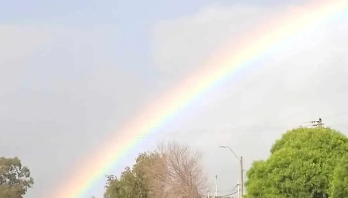 Cea Utu -  Direccion - Rocha