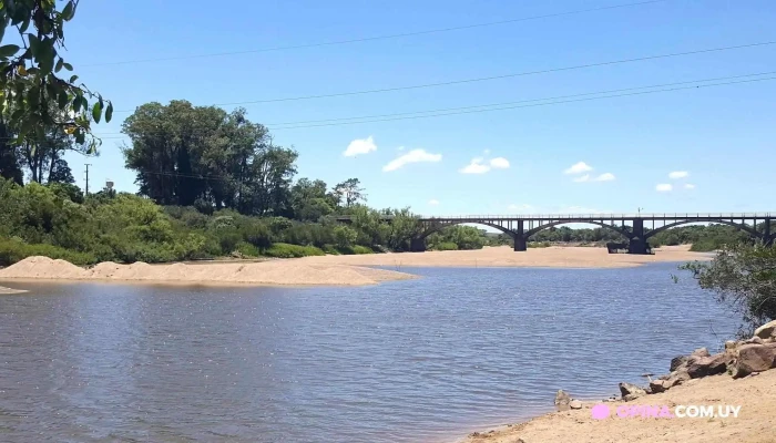 Cebollati Todo - Cebollatí