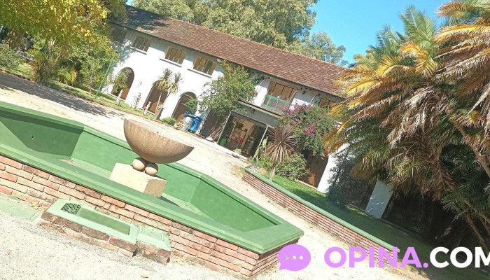 Cedel Carrasco -  Mas Recientes - Montevideo