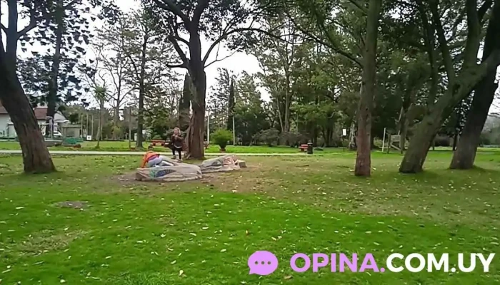 Cedel Carrasco -  Videos - Montevideo