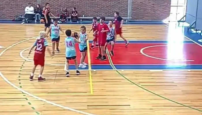 Cedemcar -  Mas Recientes - San Carlos