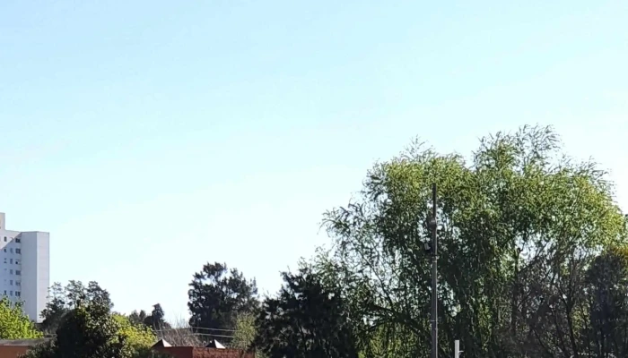 Cedemcar -  Promocion - San Carlos