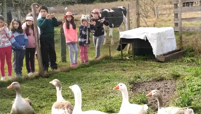 Ceimer Escuela Numero - Rocha