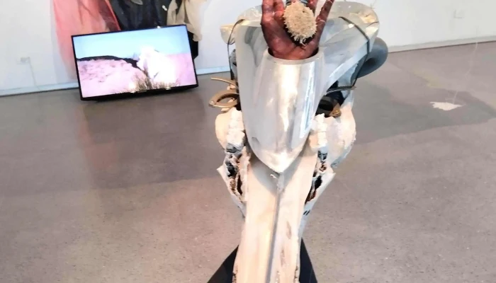 Centro Cultural De Espana Comentario 10 - Montevideo