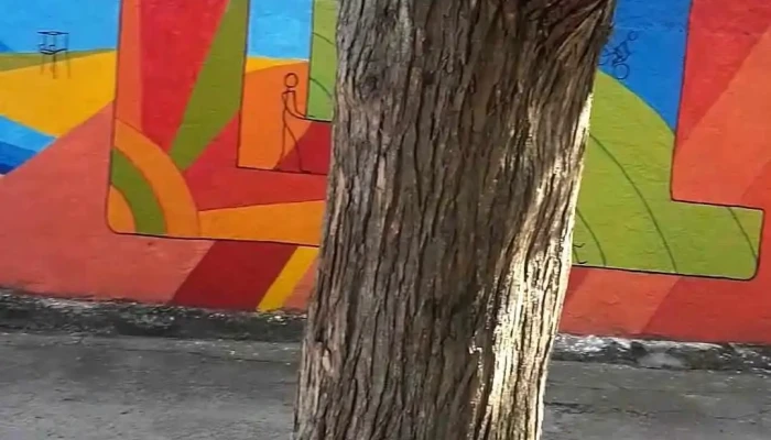 Centro De Barrio Atlantida Videos - Atlántida