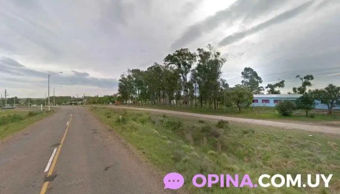 Centro de Estudios Integrados, Anep - Sequeira