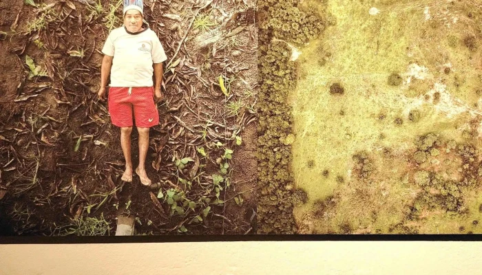 Centro De Fotografia De Montevideo Videos - Montevideo