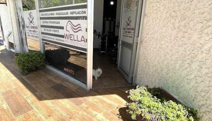 Centro Estético Nueva Generación - C. 18