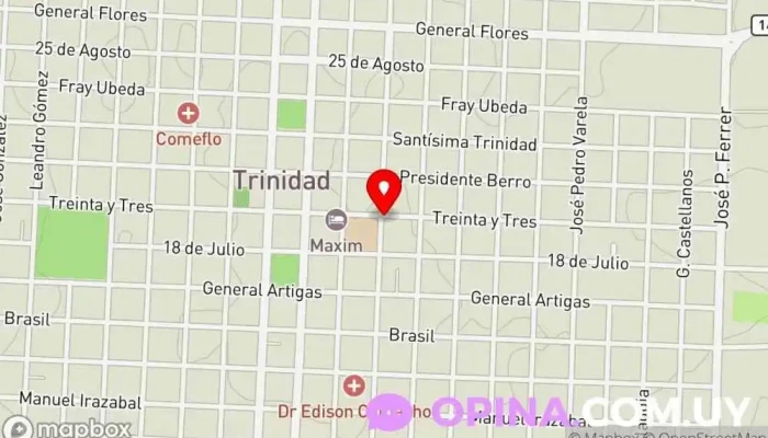 mapa de Centro Integral Tecnológico Educativo de Flores Asesor educativo en Trinidad