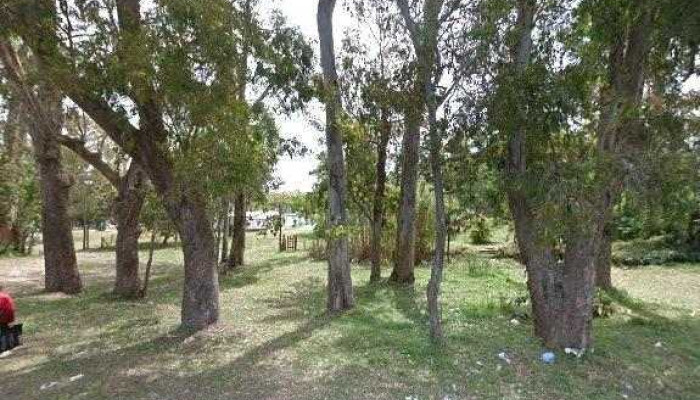 Centro Juvenil Kele Kele Videos - Pajas Blancas