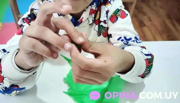 Centro Los Robles -  Del Propietario - Sauce