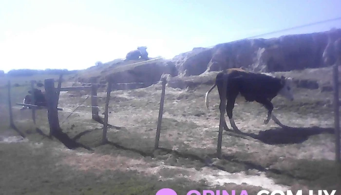 Centro Mec Noblia Zona - Isidoro Noblía