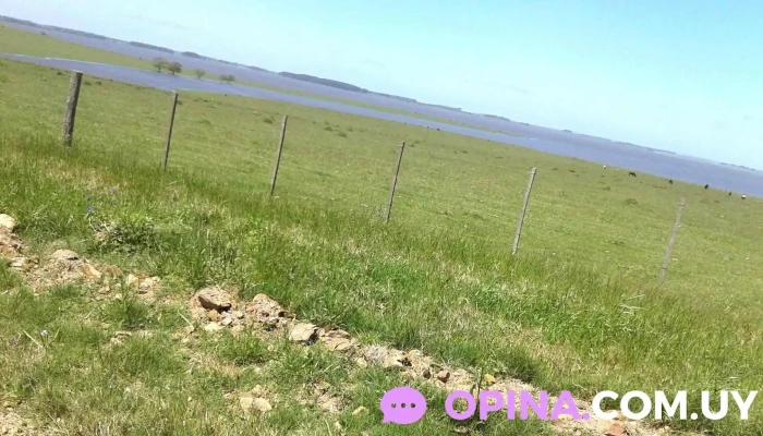 Centro Mec Velazquez Como Llegar - Velazquez