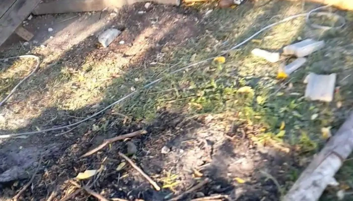 Centro Mec Villa Del Carmen -  Videos - Villa del Carmen