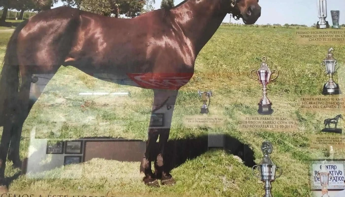 Centro Recreativo Democratico Comentario 3 - Villa del Carmen