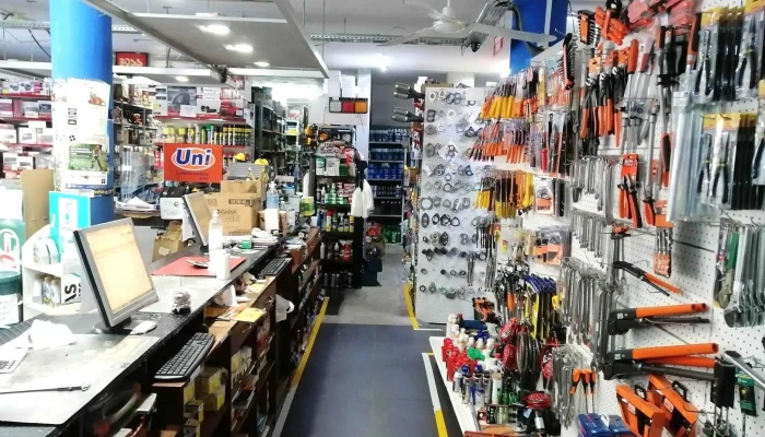 Centro Repuestos del Sur Ltda - 85000 Trinidad