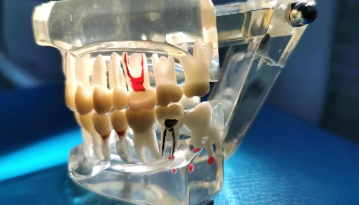 Ceofuruguay Del Propietario - Montevideo