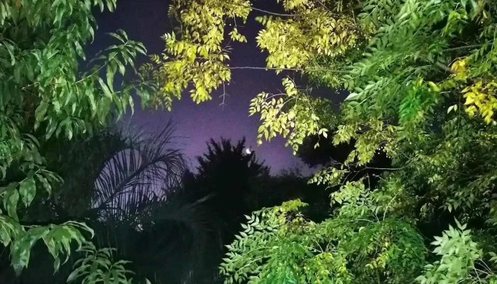 Cerrillos -  Todo - Las Brujas