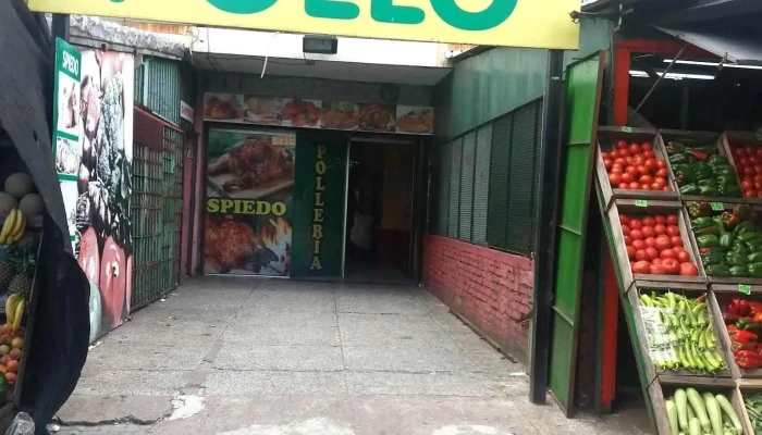 CerriPollo - 12300 Montevideo