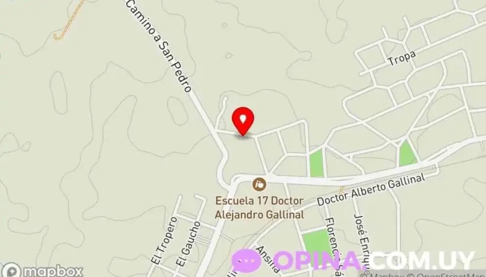 Cerro Tv Cable - 96500 Alejandro Gallinal