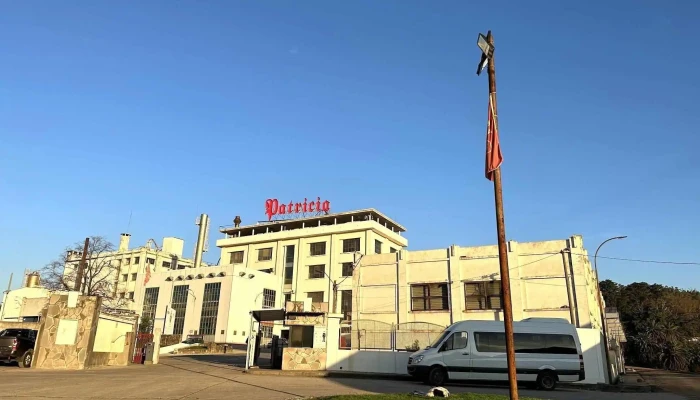 Cerveceria Patricia -  Todo - Minas