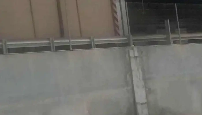 Cerveceria Patricia -  Videos - Minas