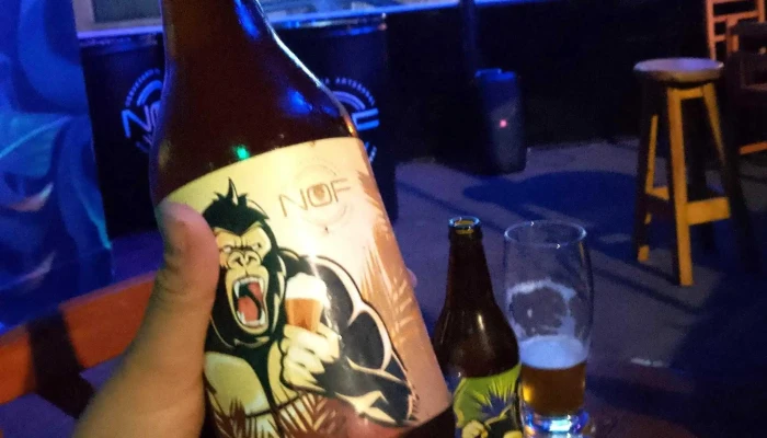 Cerveceria Pizzeria Nof Comentario 1 - Montevideo