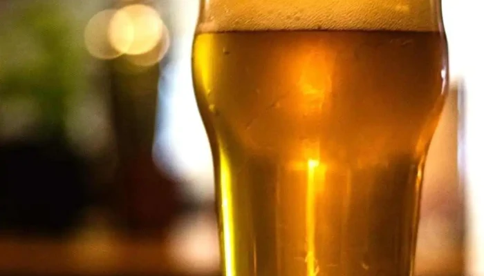 Cerveceria Shelter Del Propietario - Montevideo