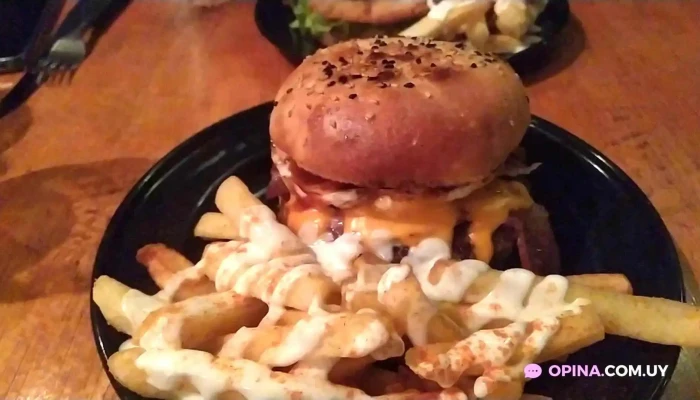 Cerveceria Shelter Videos - Montevideo