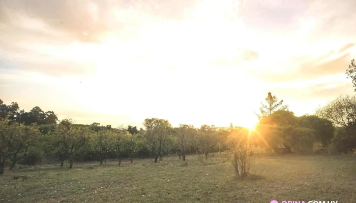 Chacra El Umbral -  Del Propietario - El Colorado