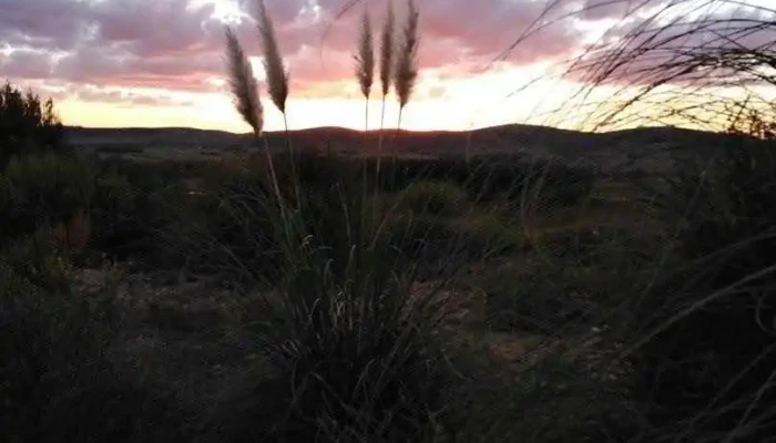 Chacra Gaia -  Del Propietario - San Carlos