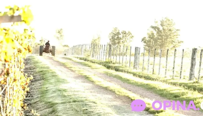 Chacra La Anyta - Pan De Azúcar