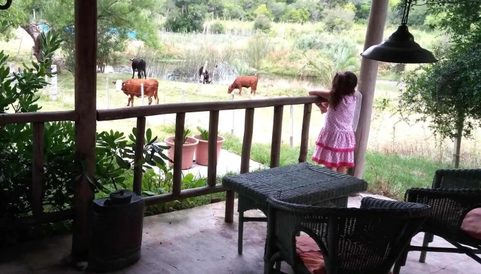 Chacra La Pampa -  Comentario 7 - Departamento de Maldonado