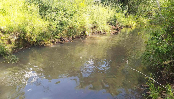 Chacra Las Tunas - Artigas