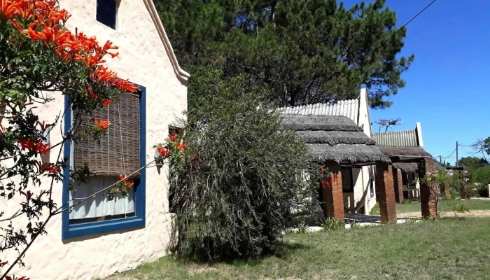 Chalets Del Bosque -  Exterior - La Paloma
