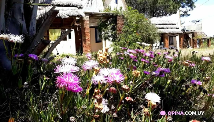 Chalets Del Bosque -  Videos - La Paloma