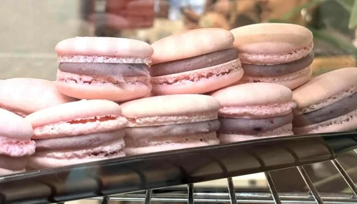 Charlotte Cafe -  Todo - Montevideo