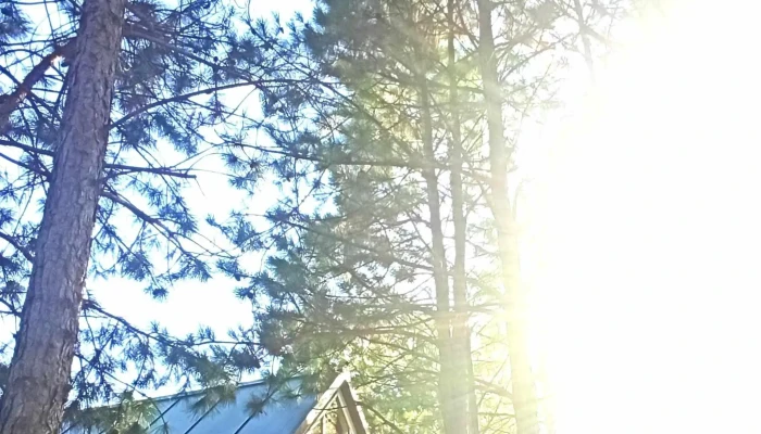 Chesterhouse -  Comentario 11 - Montevideo