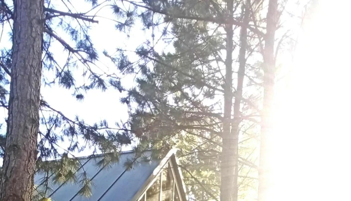 Chesterhouse -  Comentario 3 - Montevideo