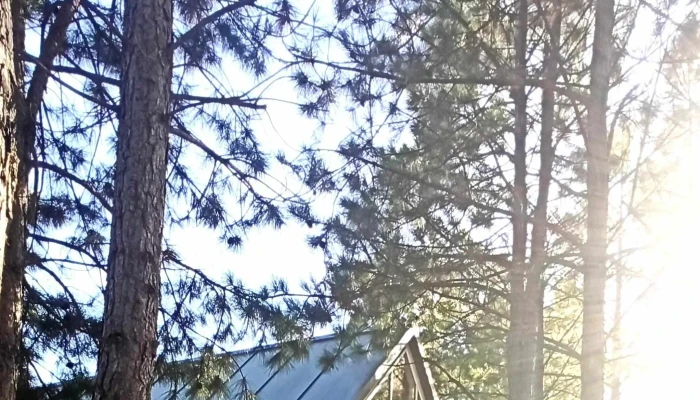 Chesterhouse -  Comentario 7 - Montevideo