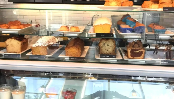 Chesterhouse -  Comentario 8 - Montevideo