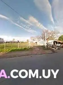 Chiveteria El Gigante Del Sur Street View Y 360 - Dolores