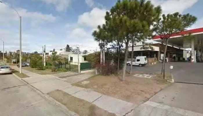 Chiviteria Monkeys Street View Y 360 - Montevideo